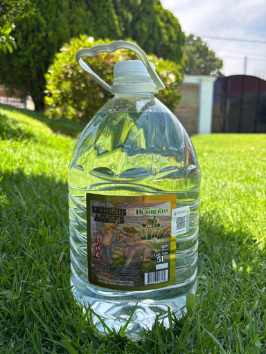 Licor de agave blanco 5 Litros