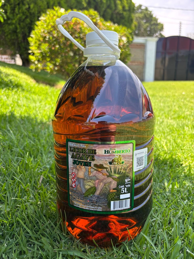 Licor de agave joven reposado 5 Litros